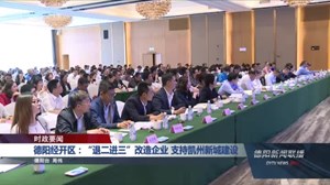 德阳经开区：“退二进三”改造企业 支持凯州新城建设