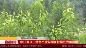 中江富兴：特色产业勾画乡村振兴秀美蓝图