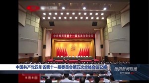 中国共产党四川省第十一届委员会第五次全体会议公报