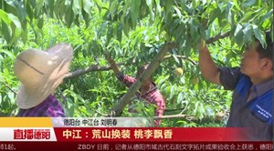 中江：荒山换装 桃李飘香