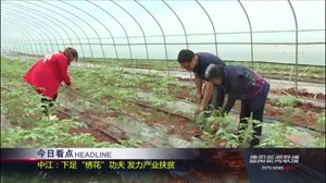 2019年6月19日新闻联播