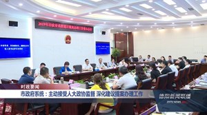 市政府系统：主动接受人大政协监督 深化建议提案办理工作