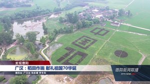 广汉：稻田作画 献礼祖国70华诞