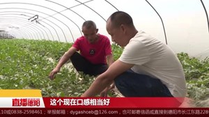 李顶军:“种瓜能手”当起致富带头人
