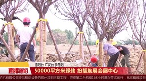 50000平方米绿地 扮靓航展会展中心