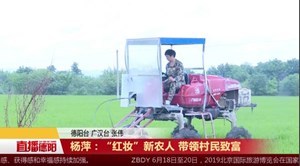 杨萍：“红妆”新农人 带领村民致富