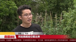 市民发现“鸡宝”   专家难以确认