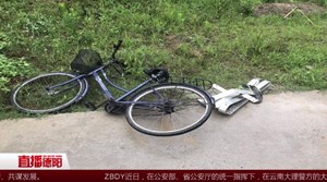 罗江：奇葩小偷跳河逃跑险丢命  村民合力营救上岸
