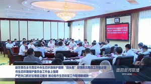 赵世勇参加全市落实中央生态环境保护督察“回头看”反馈意见整改工作推进暨 市生态环境保护委员会工作会