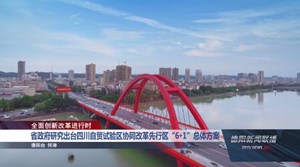省政府研究出台四川自贸试验区协同改革先行区“6+1”总体方案