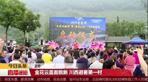 绵竹：云盖村的民宿致富经