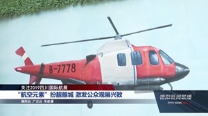 “航空元素”扮靓雒城 激发公众观展兴致