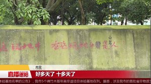 打陀螺扰民？ 涂鸦式发泄不可取