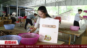 年销售500吨  90后女生张艺凡的羊肚菌创业路