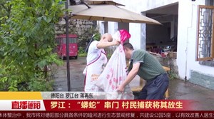 罗江：“蟒蛇”串门 村民捕获将其放生