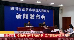德阳发布破产审判白皮书   五年受理破产案183件