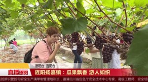 旌阳扬嘉镇：瓜果飘香 游人如织