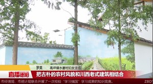 广汉高坪：3D美图上墙  “网红村”又添“打卡点”