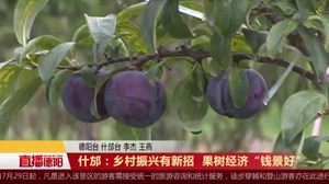 什邡：乡村振兴有新招  果树经济“钱景好” 