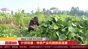 什邡双盛：特色产业巩固脱贫成果