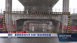 德阳：暴雨致局地内涝 多部门紧急排险处置