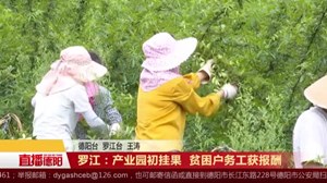 罗江：产业园初挂果 贫困户务工获报酬