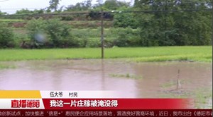 罗江：突降大雨 农田果园受灾