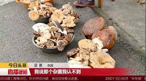 好吃嘴们注意了！路边的野生菌不要随意买