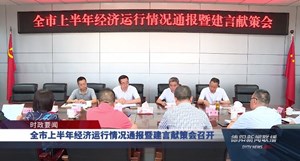 全市上半年经济运行情况通报暨建言献策会召开