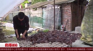 乡村振兴：强村富民 未来可期   