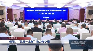 德阳：“党建+金融”助力奔小康