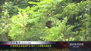 2019年8月14日新闻联播