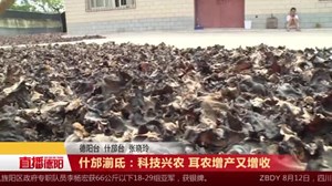 什邡湔氐：科技兴农 耳农增产又增收
