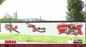 广汉：“航空”元素上墙  为航展添彩