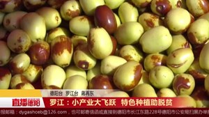 罗江：小产业大飞跃 特色种植助脱贫