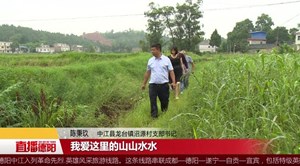 陈秉玖：昔日军营好儿男 今日富民领头雁
