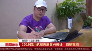 2019四川航展志愿者VI设计   惊艳亮相