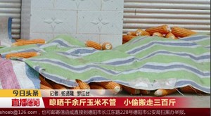 晾晒千余斤玉米不管   小偷搬走三百斤