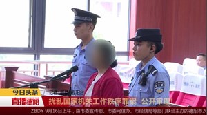 扰乱国家机关工作秩序罪案  公开审理! 