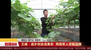 王威：返乡创业当果农  再现军人坚毅品格
