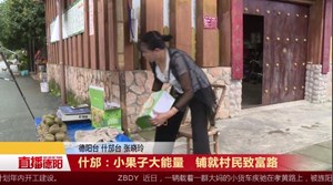 什邡：小果子大能量   铺就村民致富路