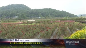 2019年10月4日新闻联播