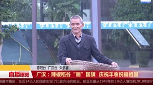 广汉：辣椒稻谷“画”国旗  庆祝丰收祝福祖国