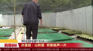 孙富超：山林里  听取蛙声一片