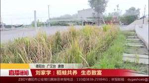 刘家学：稻蛙共养 生态致富