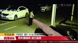 中江：砸窗盗窃车内物品  三男子落网