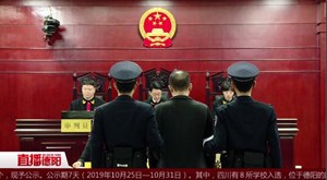 男子盗刷境外信用卡二审判缓刑