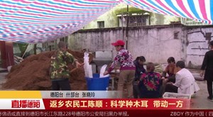 返乡农民工陈顺：科学种木耳  带动一方