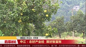 中江：念好产业经  算好致富账
