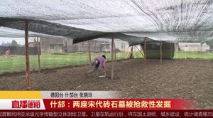 什邡：两座宋代砖石墓被抢救性发掘